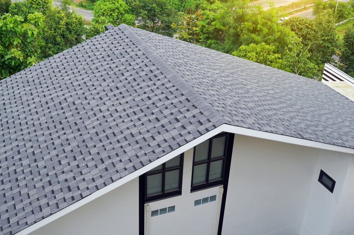 Steep gray asphalt shingle roof of a modern home surrounded by mature green trees